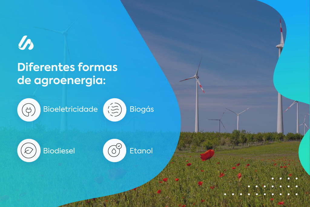 Imagem mostra turbinas eólicas. Texto posicionado à esquerda diz: "Diferentes formas de agroenergia: bioeletricidade, biogás, biodiesel e etanol."