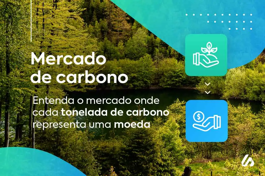 Mercado de carbono: o que é e como funciona Mercado de carbono: o que é e como funciona