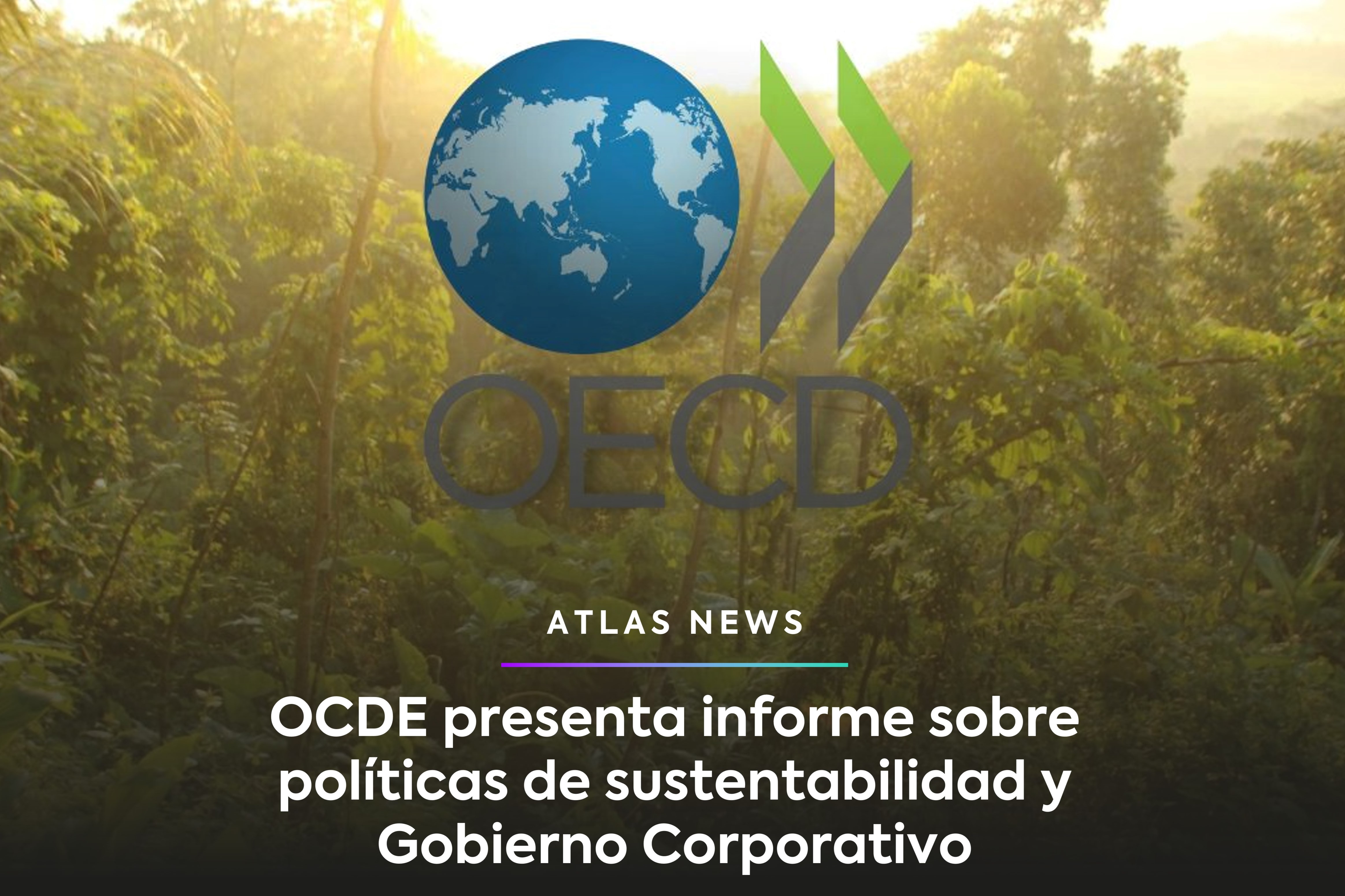 OCDE presenta informe sobre políticas de sustentabilidad y Gobierno Corporativo OCDE presenta informe sobre políticas de sustentabilidad y Gobierno Corporativo